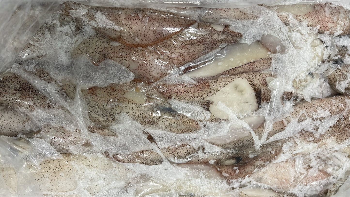 Squid, (Loligo Pealei), 8-10, Whole, Cleaned, Frozen, NW, 44 lb, 4 x 11 lb