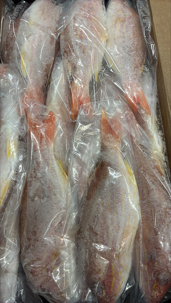 Snapper (Lane), 1/4-1/2 lb, GGS, Frozen, IWP, Brazil, NW, 10 lb