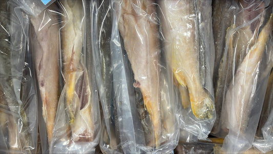 King Weakfish (Bangamary), 3-6ppb, Whole, Frozen, Brazil,  NW, 44 lb