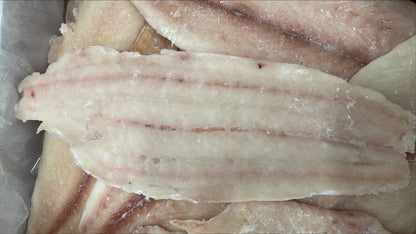 Halibut, (California), 1-3 lb, Fletches, Skinless, Boneless, Frozen, NW, 20 lb