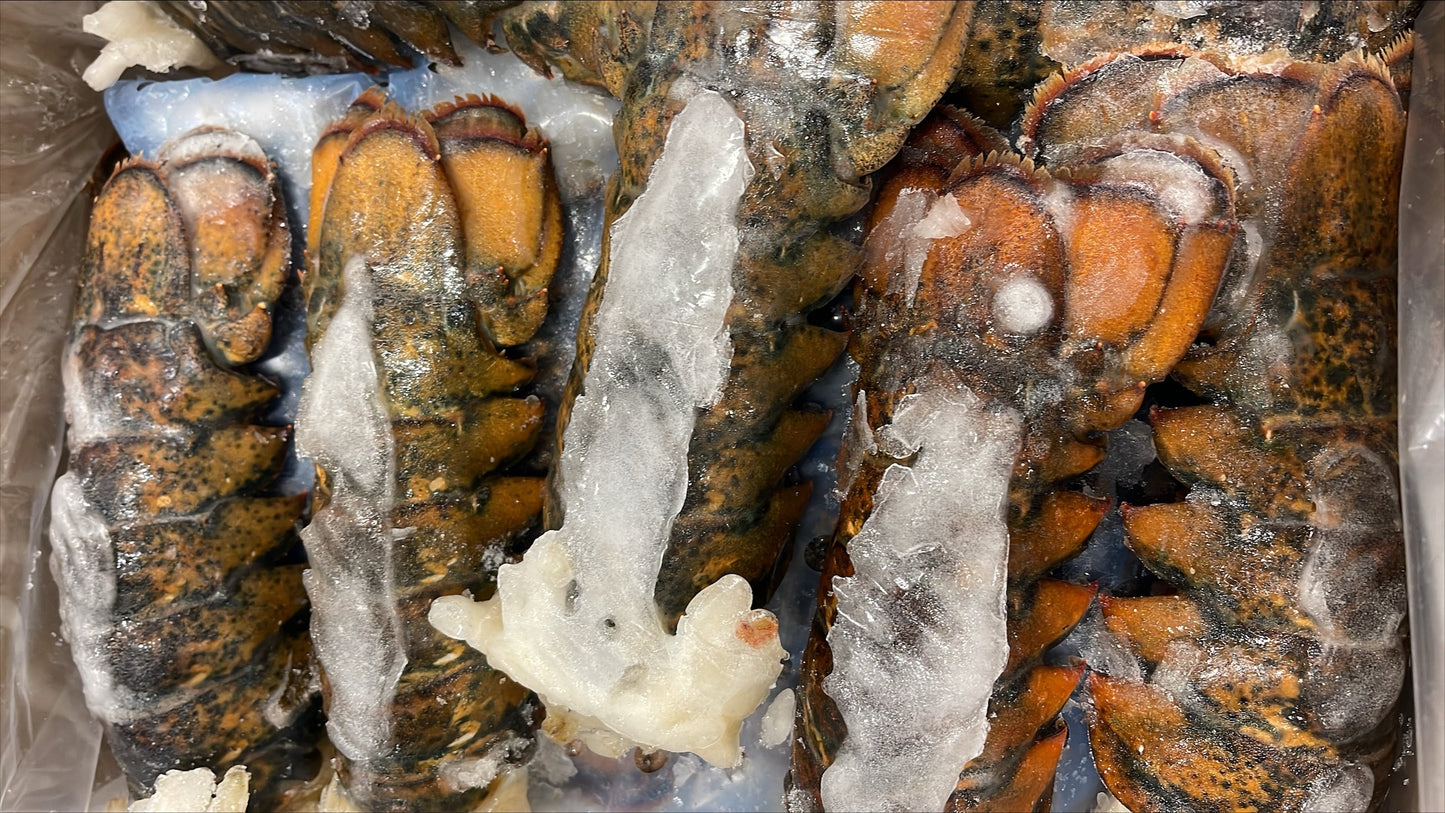 Lobster (Raw), 8-10 oz, Tails, Frozen, Canada, NW, 10 lb