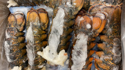 Lobster (Raw), 8-10 oz, Tails, Frozen, Canada, NW, 10 lb