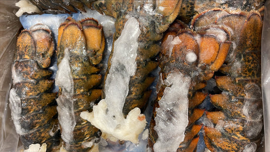 Lobster (Raw), 8-10 oz, Tails, Frozen, Canada, NW, 10 lb