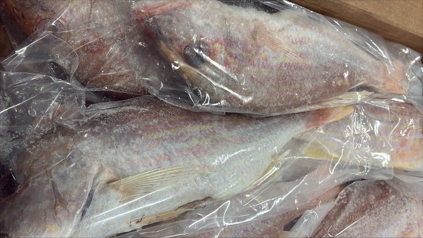 Snapper (Lane), 3/4-1 lb, GGS, Frozen, NW, 10 lb