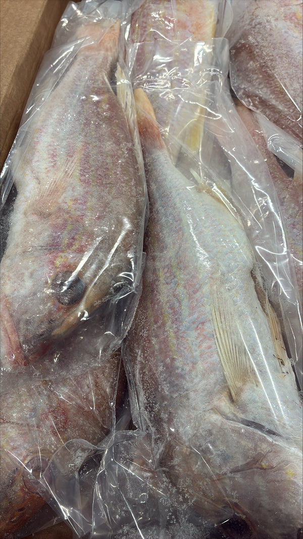 Snapper (Lane), 3/4-1 lb, GGS, Frozen, NW, 10 lb