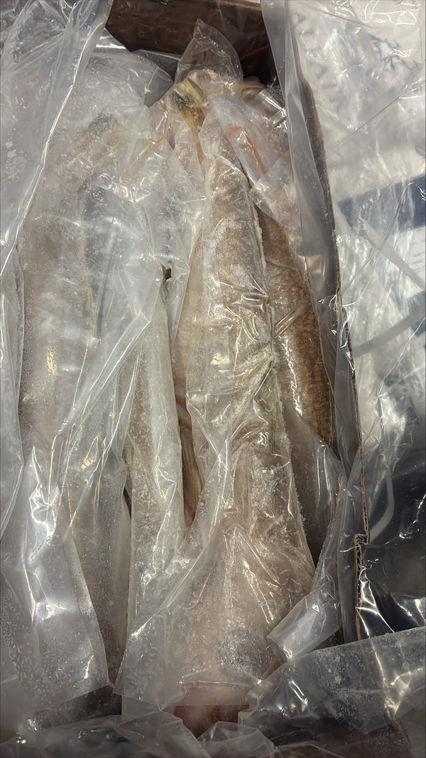 Tilefish (Golden), 3-5, Whole, Gutted, Frozen, Mexico, NW, 55lb