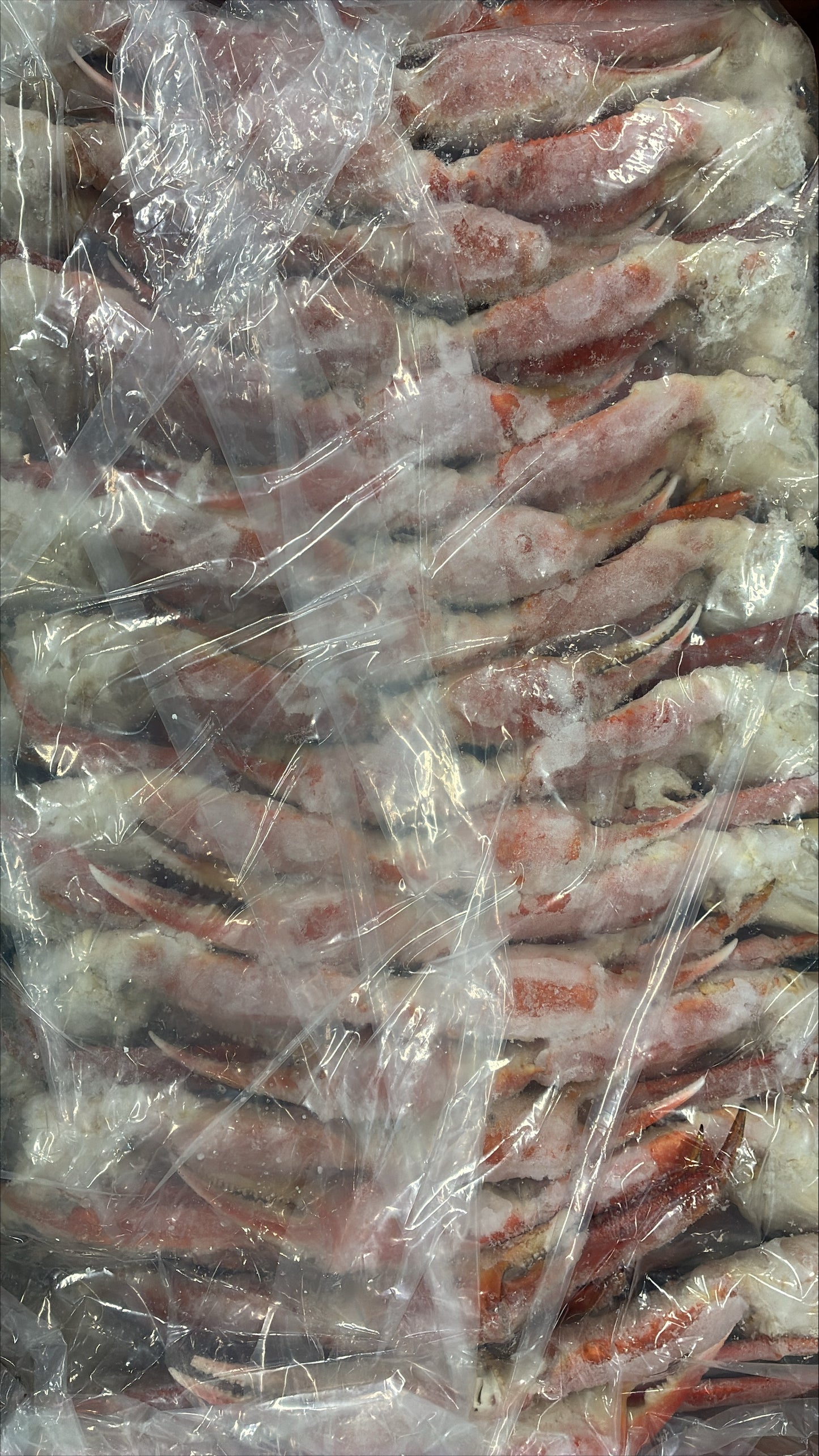 Crab (Snow), 8-10oz, Cluster, Cooked, Frozen,Norway, IQF, NW 20 lb