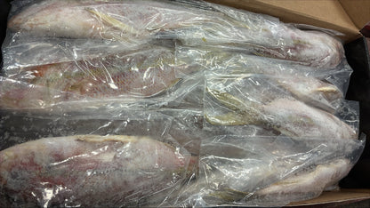 Vivaneau (queue jaune), 1/4-1/2 lb, GGS, congelé, NW, 10 lb