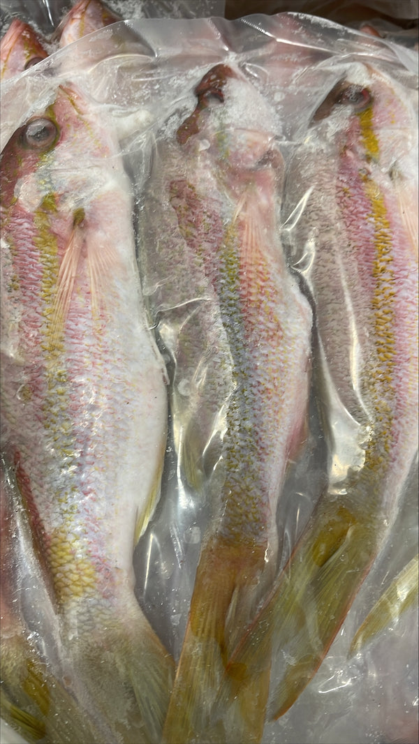 Vivaneau (queue jaune), 1/4-1/2 lb, entier, éviscéré, congelé, NW, 55 lb
