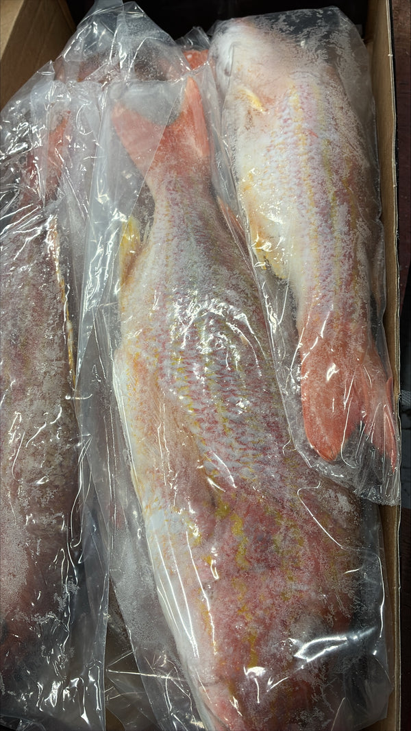 Snapper (Lane), 1.5-2, GGS, Frozen, IWP, Brazil,  NW, 10 lb