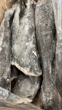 Morue (noire), #1, 5-7 lb, sans tête, éviscérée, LL - J/Cut, congelée, NW, 50 lb