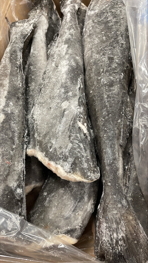 Morue (noire), #1, 5-7 lb, sans tête, éviscérée, LL - J/Cut, congelée, NW, 50 lb