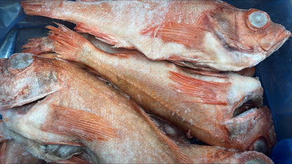 Red Fish 1-2 lb, WGGS, Frozen,  Canada, NW, 10 lb