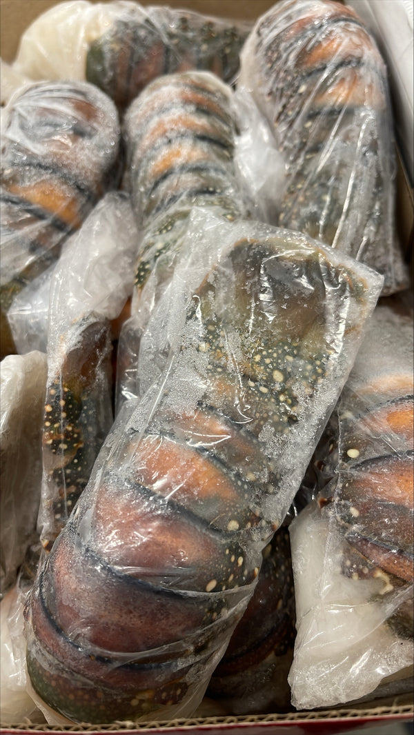 Lobster, 4oz, Tails, Frozen, Brazil, NW, 10lb