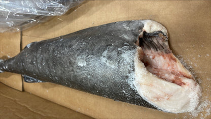 Cod (Black), #1, 7 lb up, Headless, Gutted, Frozen, IQF, USA, NW, 50 lb