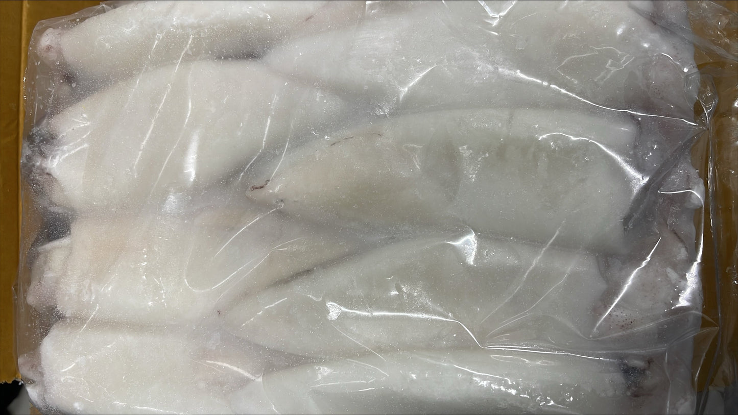 Squid, (Loligo For.), U10, Whole, Cleaned, Frozen, NW, 12 kg, 6 x 2 kg
