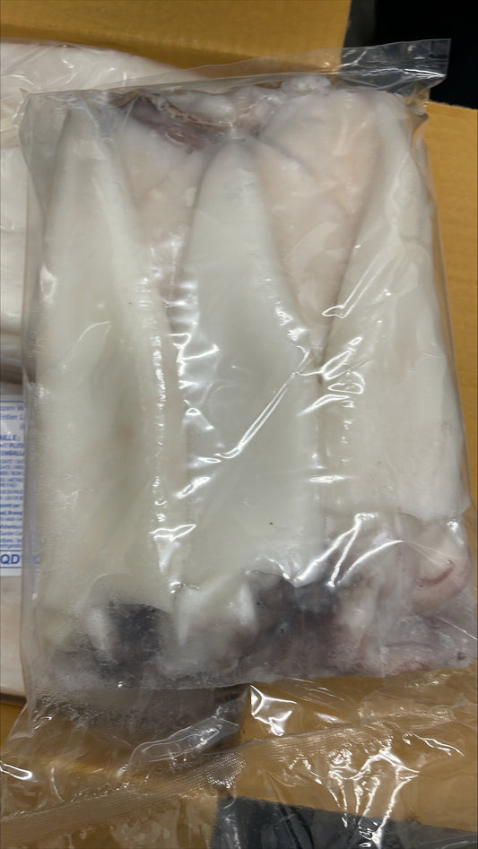 Squid (Loligo For.), U5, Whole, Cleaned, Frozen, Thailand, Blue Ocean , NW, 12 kg, 6 x 2 kg