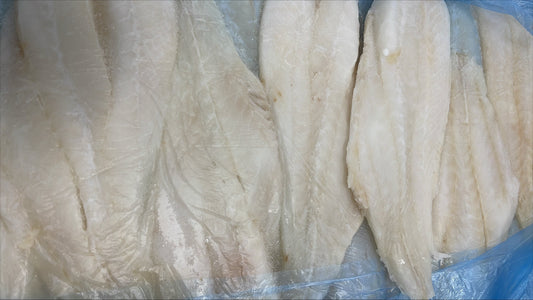 Roughy (Orange), 6-8 oz, Fillets, SBL, Fresh, NW, 10 kg (22.05 lb)