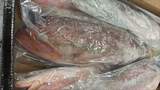 Snapper (Yellow Tail), 1.5-2 lb, GGS, Frozen, IWP, Brazil, NW, 10 lb
