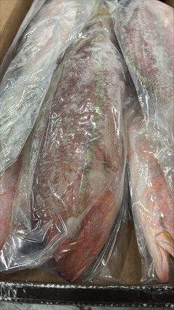 Snapper (Yellow Tail), 1.5-2 lb, GGS, Frozen, IWP, Brazil, NW, 10 lb