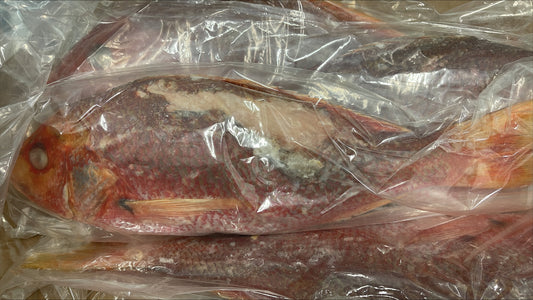 Snapper (Red),1-2lb,WGGS, Frozen, IQF, IWP, Vietnam, Ocean Harvest, NW,10lb