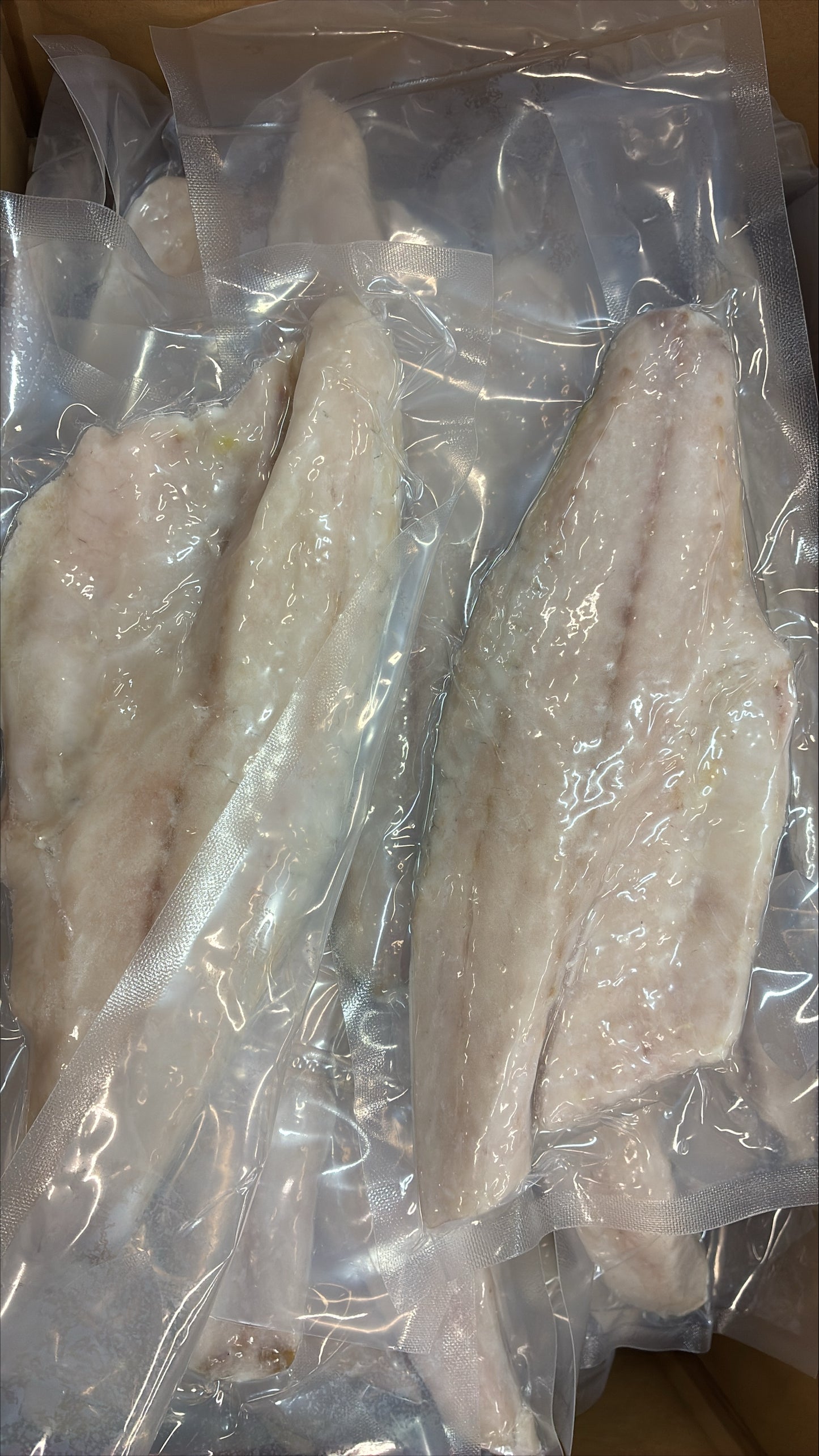 Sea Bass (European), Fillet, 6-8 oz, skin on, Boneless, Frozen, IVP, NW 1 x 5kg (11.023lb)