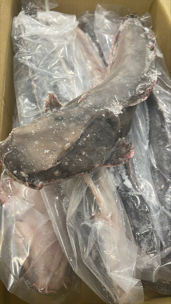 Catfish, 800-1500g, Gutted, Frozen, IQF, IWP, NW, 14 lb