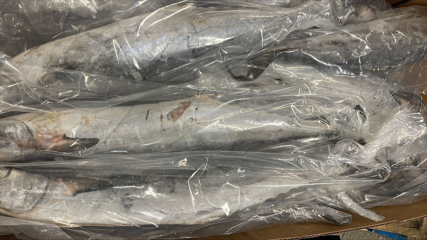 King Fish, 3-5 lb/pc, Whole, Gutted, Frozen, Venezuela, NW, 60 lb