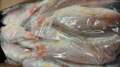 Snapper (Lane), 1/4-1/2 lb, GGS, Frozen, IWP, Brazil, NW, 10 lb