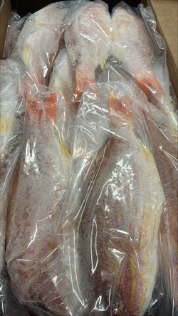 Snapper (Lane), 1/4-1/2 lb, GGS, Frozen, IWP, Brazil, NW, 10 lb