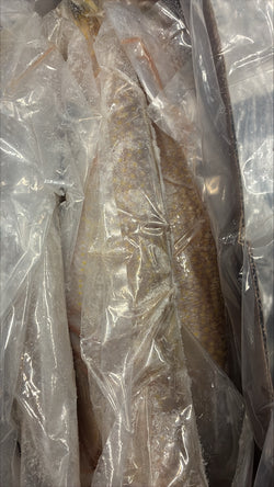 Tilefish (Golden), 3-5, Whole, Gutted, Frozen, Mexico, NW, 55lb