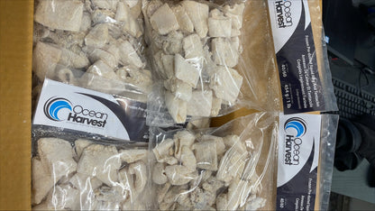 Squid, (Loligo For.), 40-60, Pre/D R&T, GF, Frozen, NW, 20 lb, 20 x 1 lb