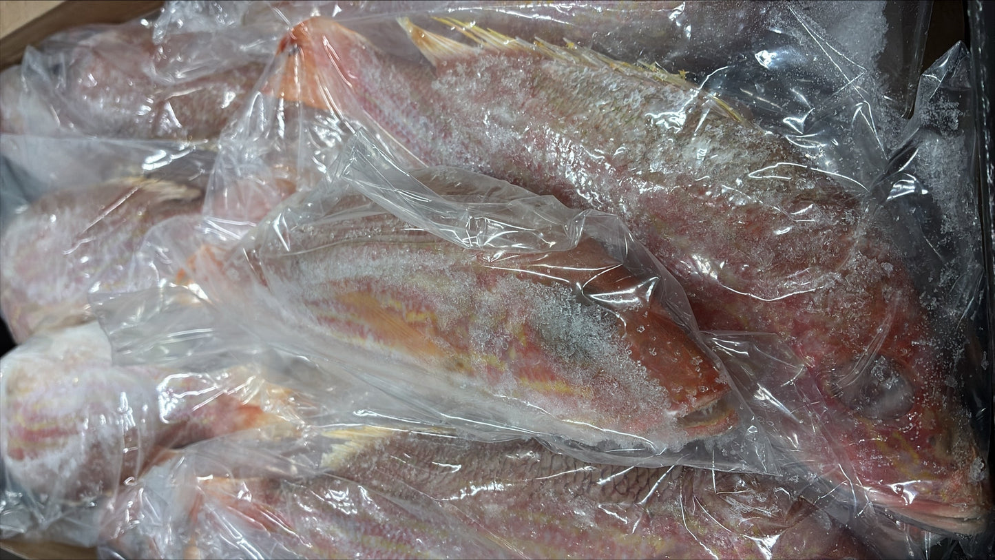 Snapper (Yellow Tail), 3/4-1 lb, GGS, Frozen, IWP, Brazil, NW, 10 lb