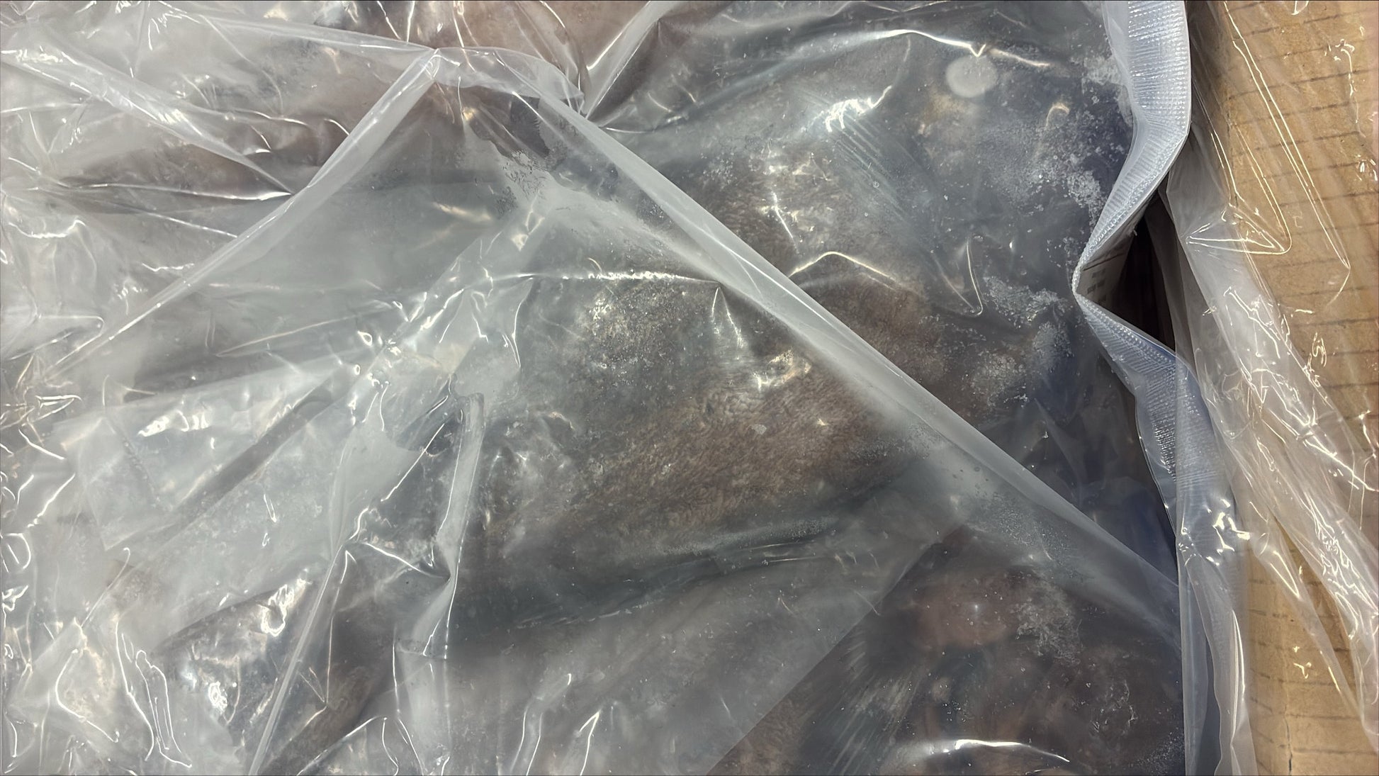 doctor fish in clear plastic packaging in a cardboard box