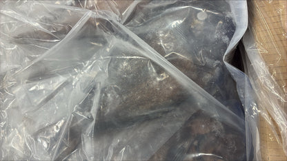 doctor fish in clear plastic packaging in a cardboard box