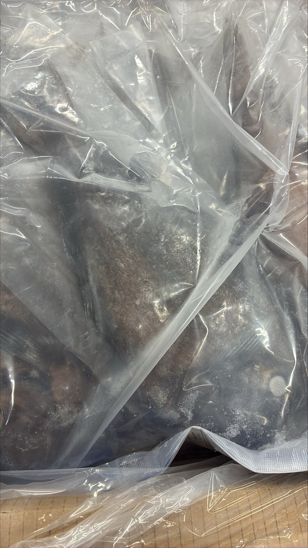 Doctor Fish, 3/4-1lb, WGS, Frozen, IQF, IWP, Vietnam, NW,10lb, 2x5lb
