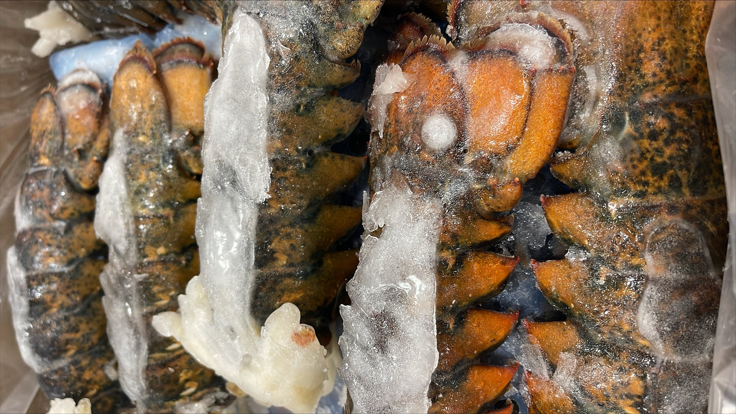 Lobster (Raw), 8-10 oz, Tails, Frozen, Canada, NW, 10 lb