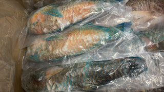 Parrot Fish