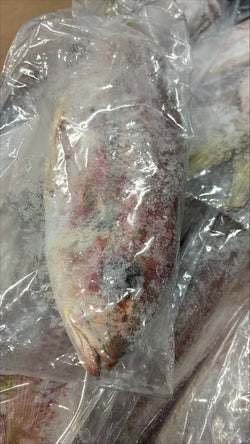 Snapper (Yellow Tail), 1/4-1/2 lb, GGS, Frozen, NW, 10 lb
