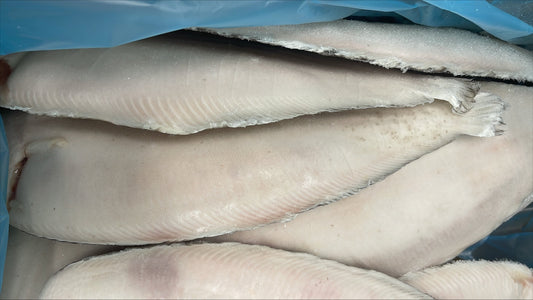 Sole (Dover), 20-24 oz, Whole Round, Frozen, IQF, NW, 25 lb
