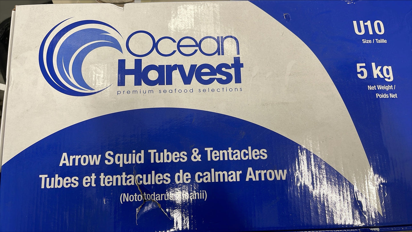 Squid, (Arrow), U10, Tubes & Tentacles, Cleaned, Frozen, NW, 22.05 lb, 2 x 5 kg