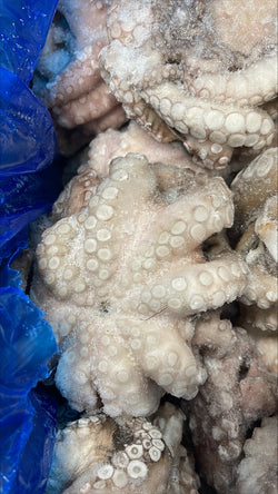 Octopus (Vulgaris), T6 (0.8-1.2 kg), A Grade, Whole, Frozen, IQF, Morocco, NW, 12 kg (26.46 lb)