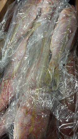 Snapper (Yellow Tail), 1/2-3/4 lb, GGS, Frozen, NW, 10 lb