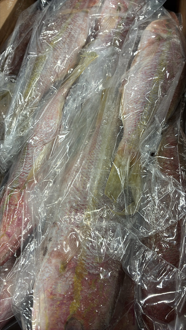 Snapper (Yellow Tail), 1/2-3/4 lb, GGS, Frozen, NW, 10 lb