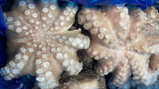 Octopus, (Vulgaris, Flower), T4 (1.5-2 kg), Clean, Frozen, NW, 22 lb