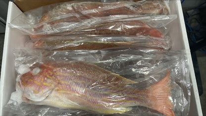 Snapper (Lane), 1-2, GGS, Frozen, IWP, Brazil, , NW, 10 lb