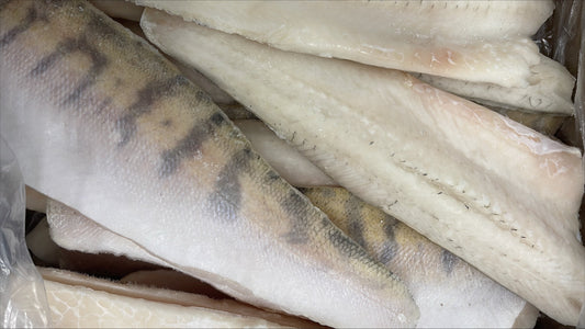 Perch (Pike), 6-8 oz, Fillets, Skin On, Frozen, NW, 5 kg (11.023 lb)