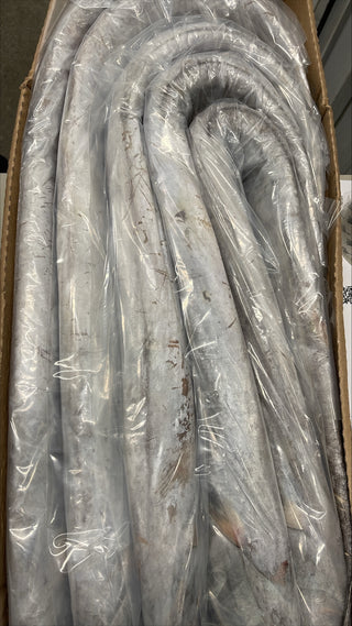 Cutlassfish (Ribbonfish)