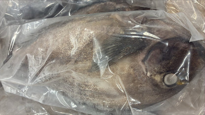 Doctor Fish ,1-2lb, WGS, Frozen, IQF, IWP, Vietnam,  NW, 10lb