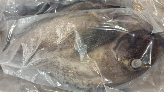 Doctor Fish ,1-2lb, WGS, Frozen, IQF, IWP, Vietnam,  NW, 10lb